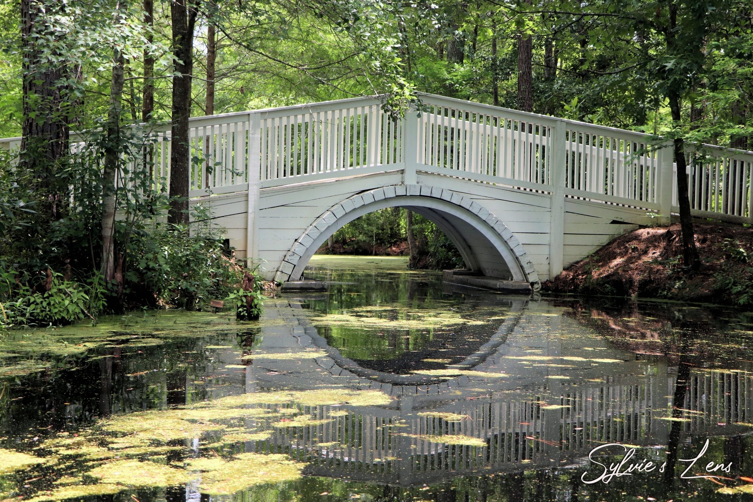 Cypress Gardens, SC Sylvie's Adventures