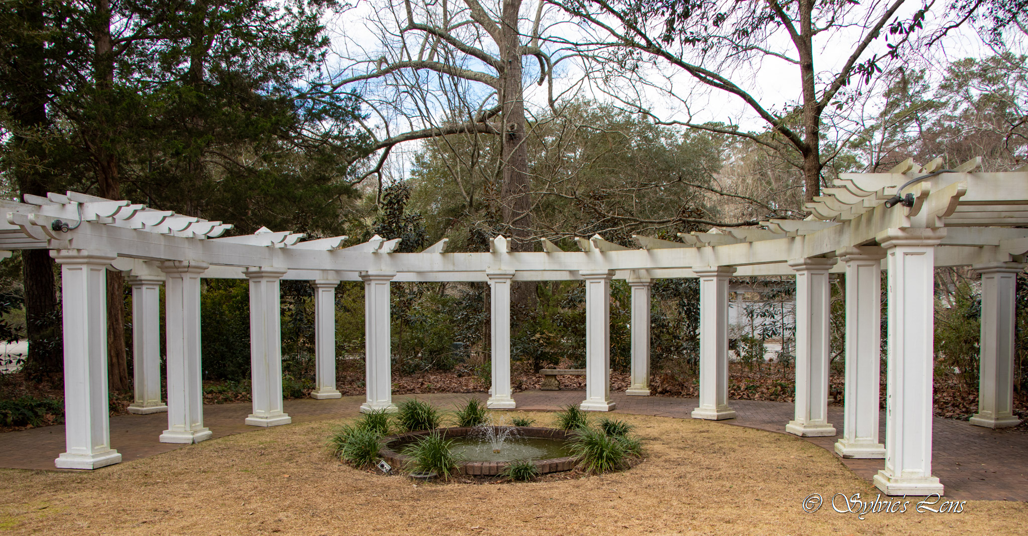 Kalmia Gardens, SC Sylvie's Adventures