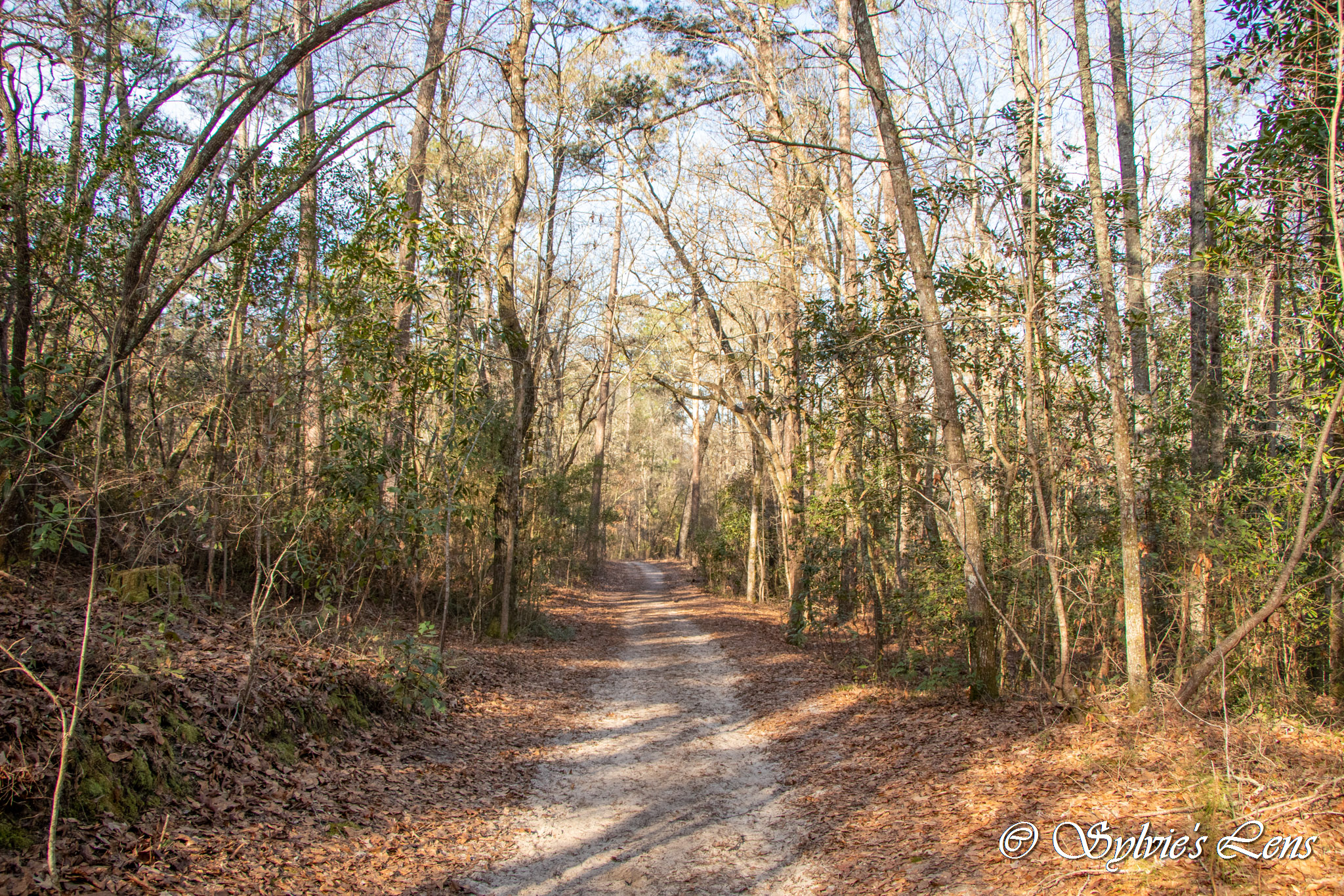 Hitchcock Woods, SC Sylvie's Adventures