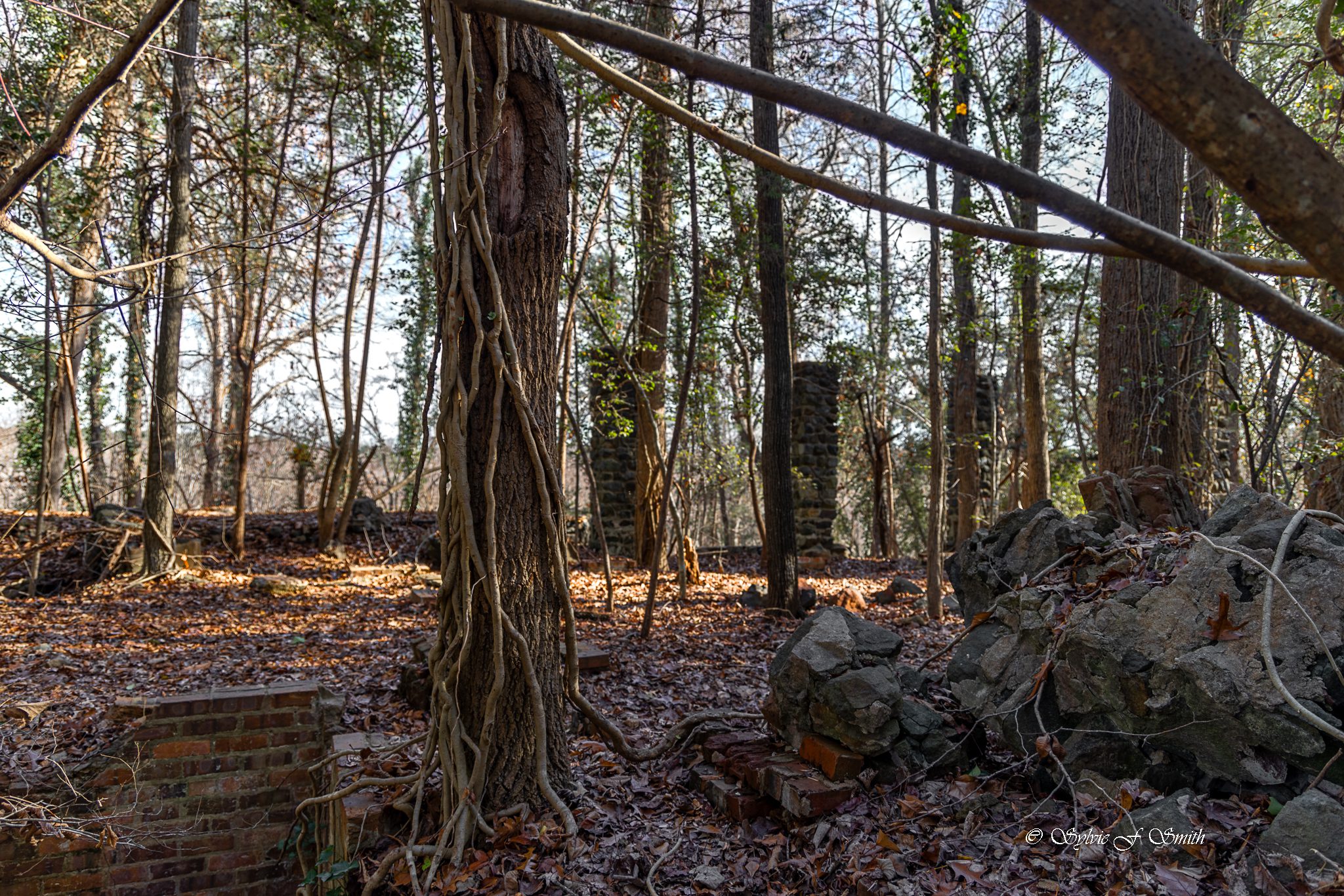 Carhartt Mansion Ruins, SC Sylvie's Adventures