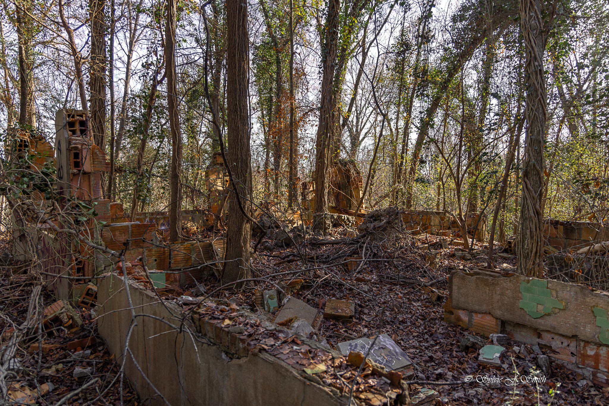 Carhartt Mansion Ruins, SC Sylvie's Adventures