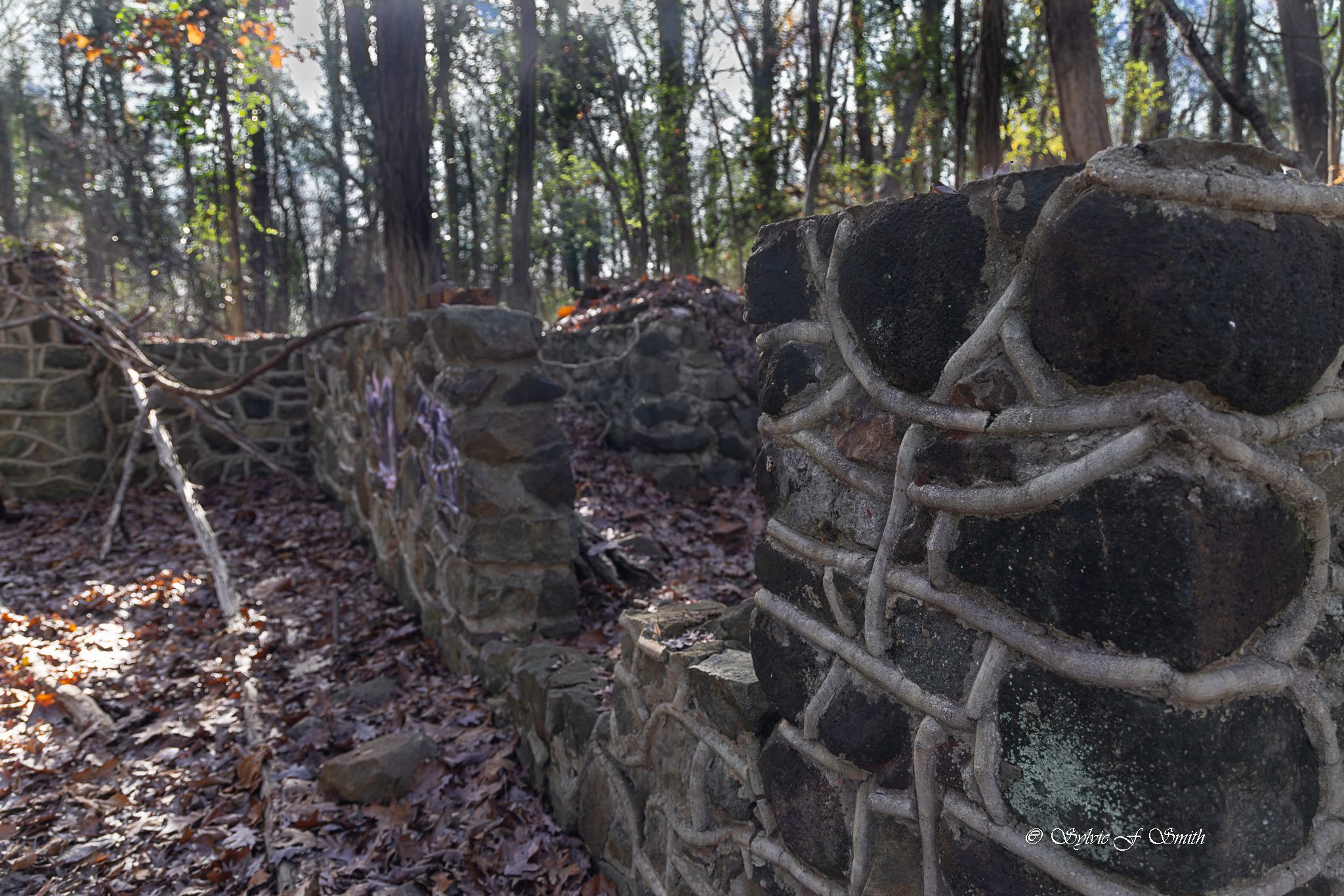 Carhartt Mansion Ruins, SC Sylvie's Adventures