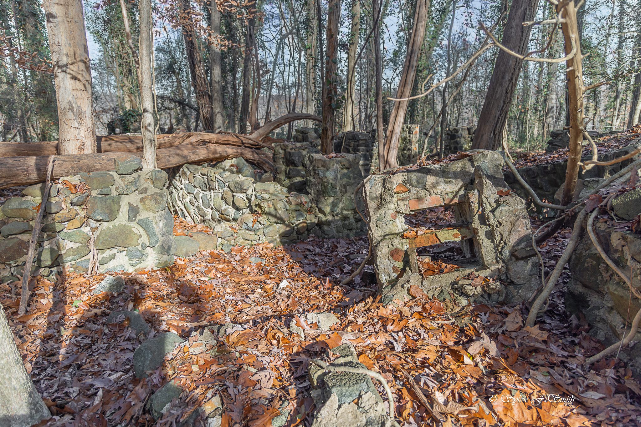 Carhartt Mansion Ruins, SC Sylvie's Adventures