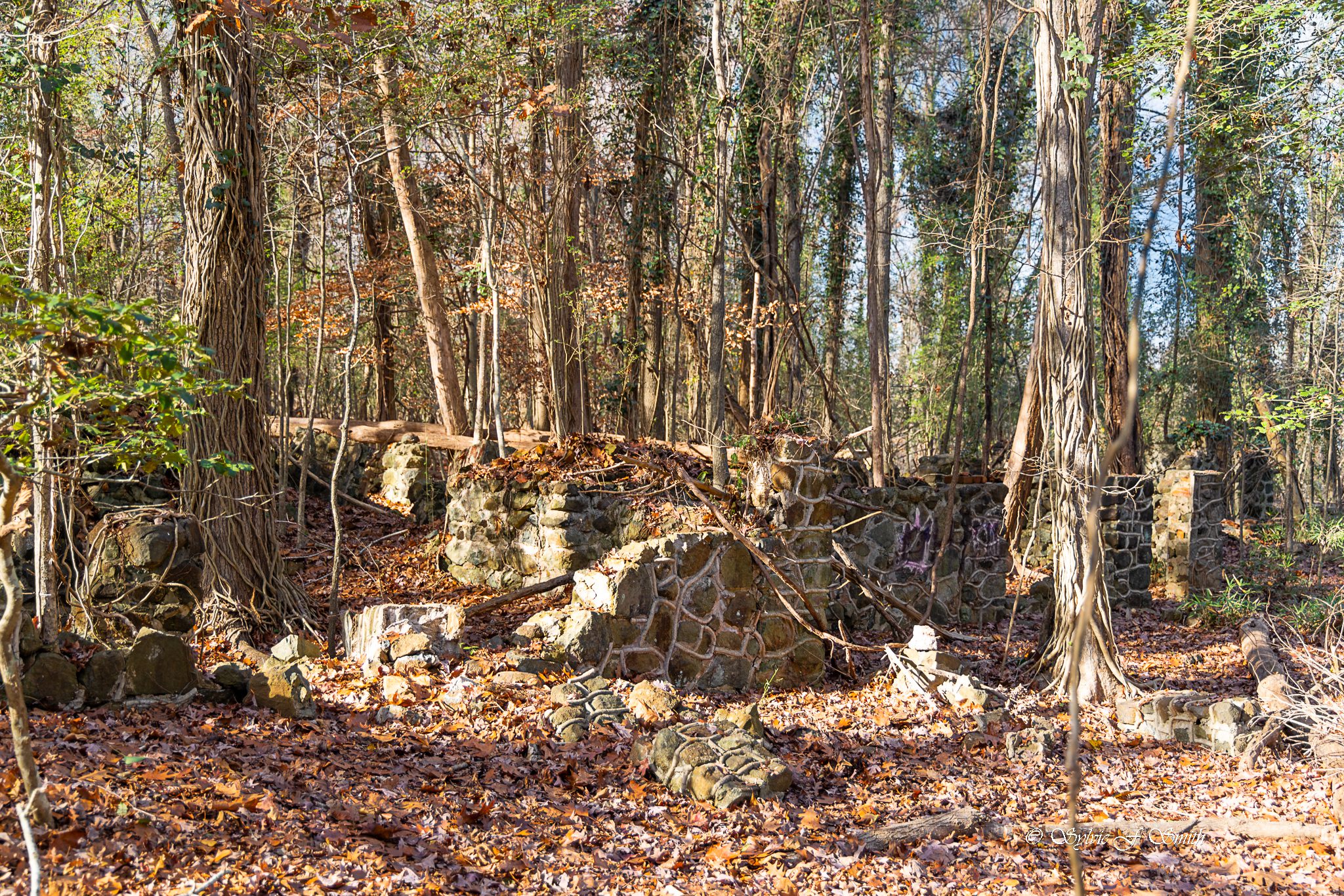 Carhartt Mansion Ruins, SC Sylvie's Adventures