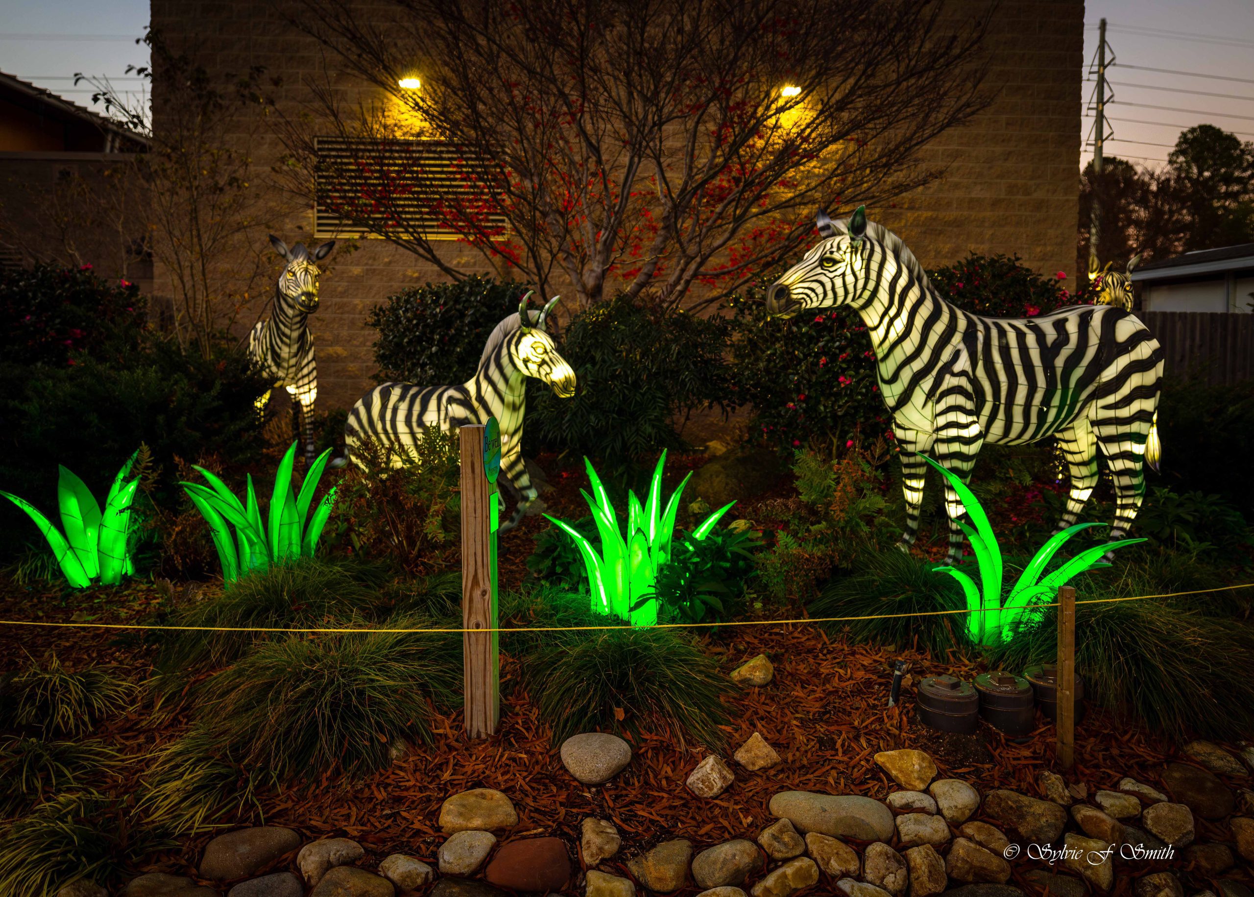 Wild Lights at Riverbanks Zoo, SC Sylvie's Adventures