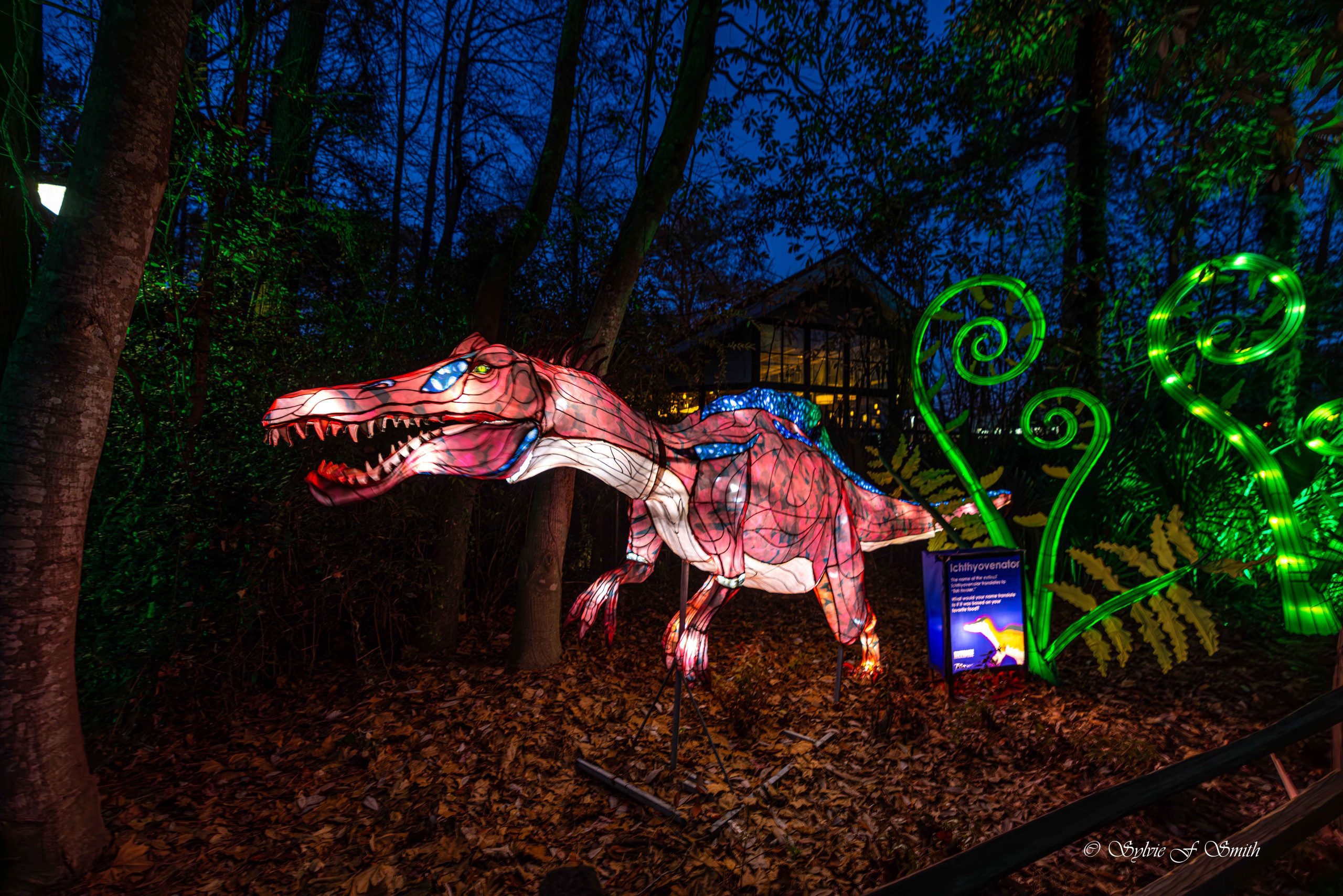 Wild Lights at Riverbanks Zoo, SC Sylvie's Adventures