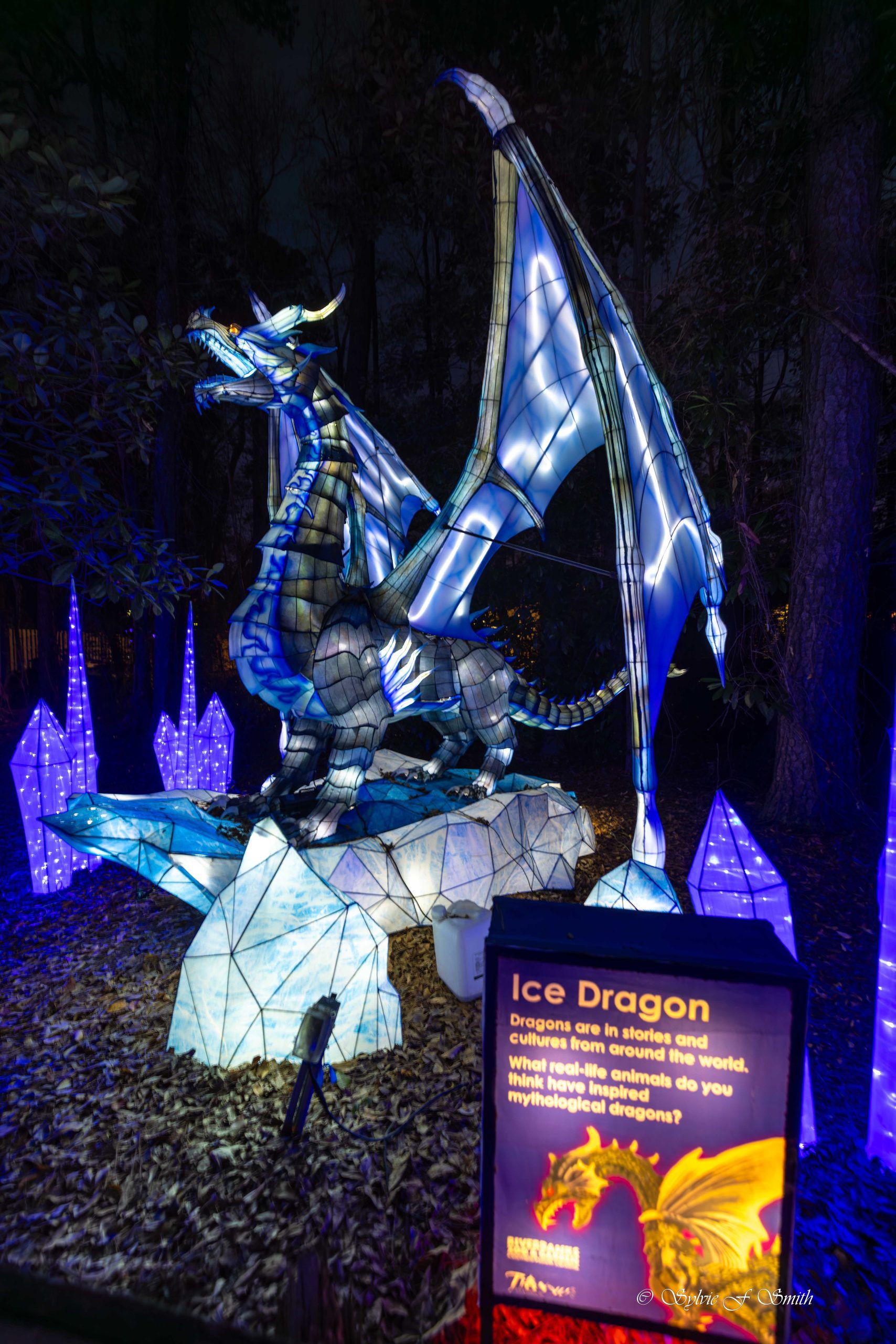 Wild Lights at Riverbanks Zoo, SC Sylvie's Adventures